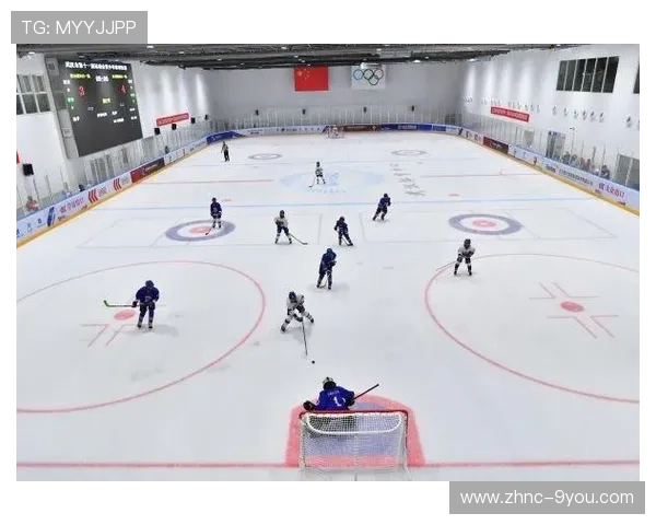 冰球球迷文化热度上升，赛场更具活力